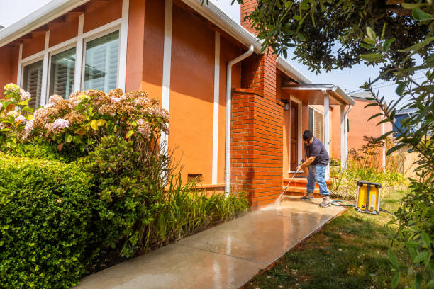 Best Deck Cleaning Services  in Jackson, MO