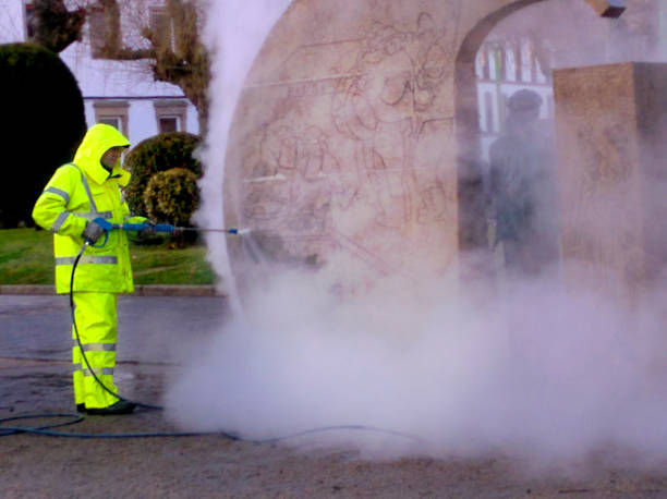 Best Roof Pressure Washing  in Jackson, MO